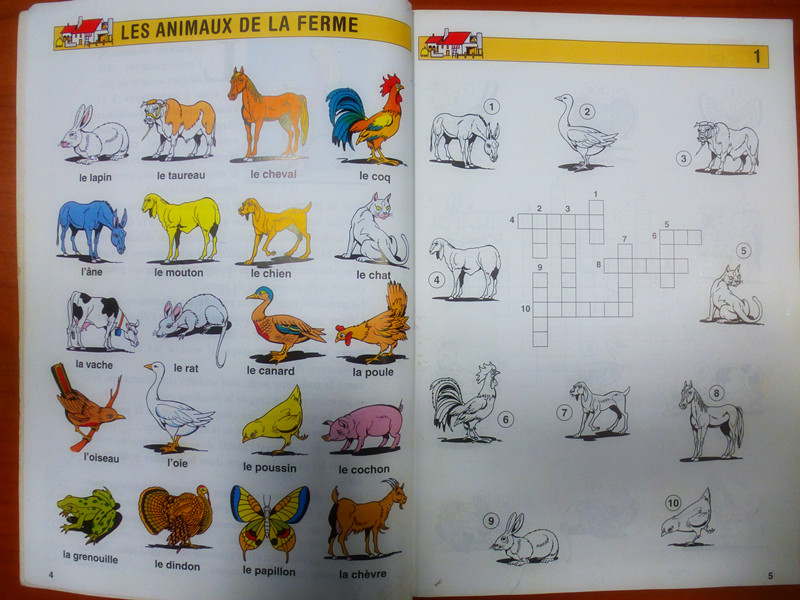 法语单词填字游戏,游戏学习两不误,只要5个金