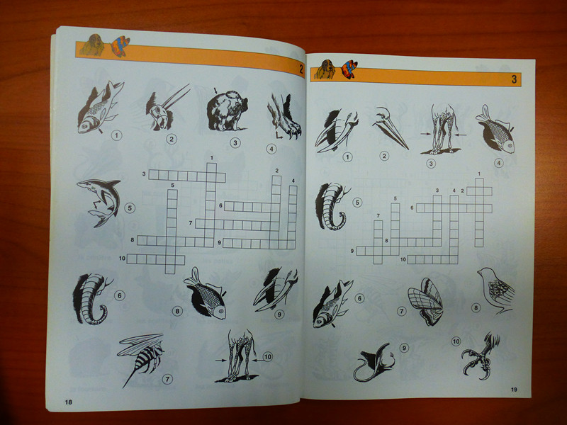 法语单词填字游戏,游戏学习两不误,只要5个金