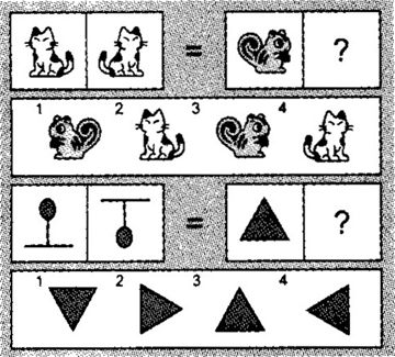 国人思维逻辑缺陷 3. 不懂逻辑 乱打比方 错用类比