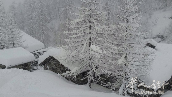 居留条 - 意大利你问我答