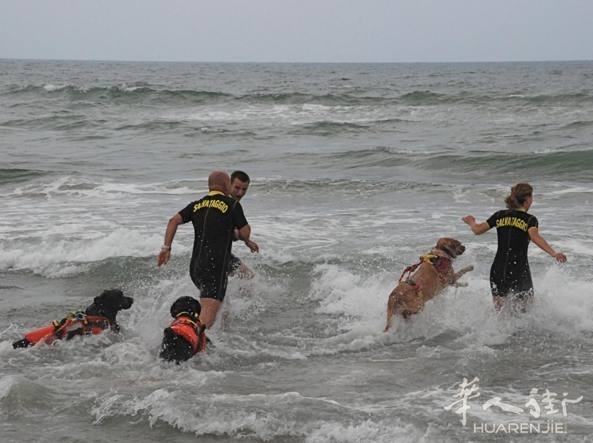 欧洲华人网_法国_意大利_西班牙_华人街