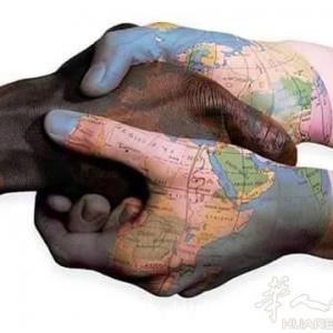 意大利陪同翻译\/律师\/会计 - 意大利华人街