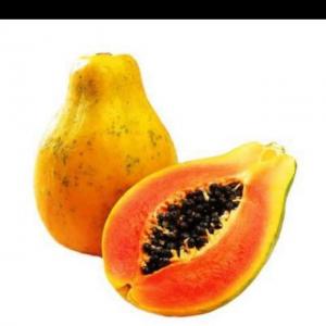 意大利陪同翻译\/律师\/会计 - 意大利华人街