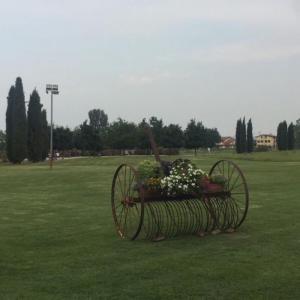 意大利保姆\/月嫂\/带养小孩 - 意大利华人街