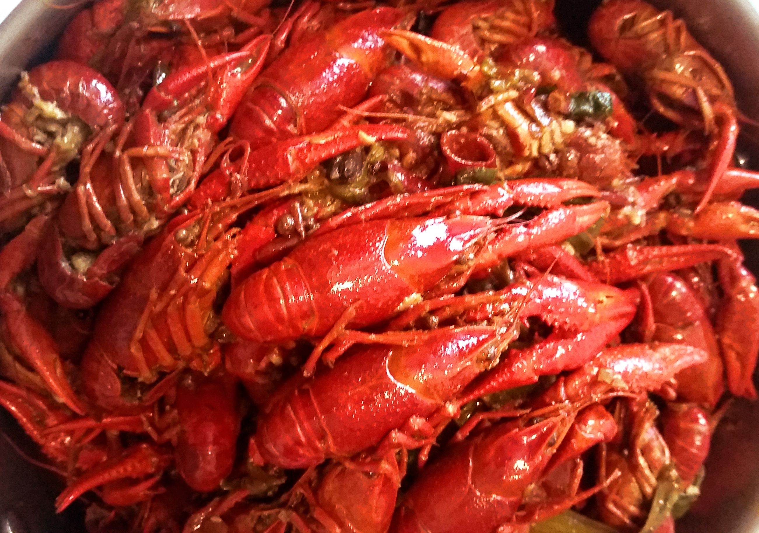 馋死人不偿命!十三香小龙虾独家制作