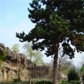 公园（3）
