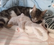 睡着了……