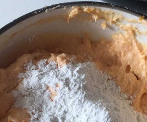 在法国打黑工,洗车,理货,送外卖一个月工