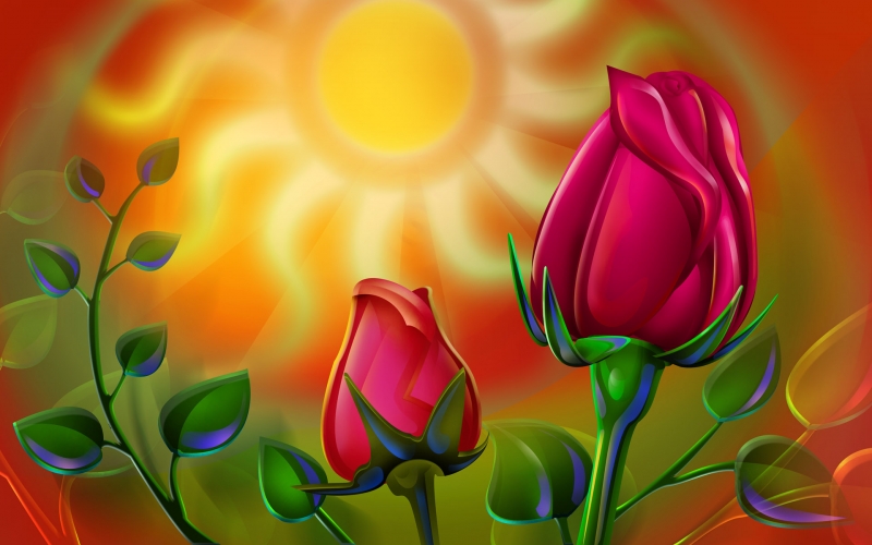 WidthFlower_1003.jpg