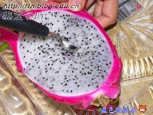 火龙果.jpg