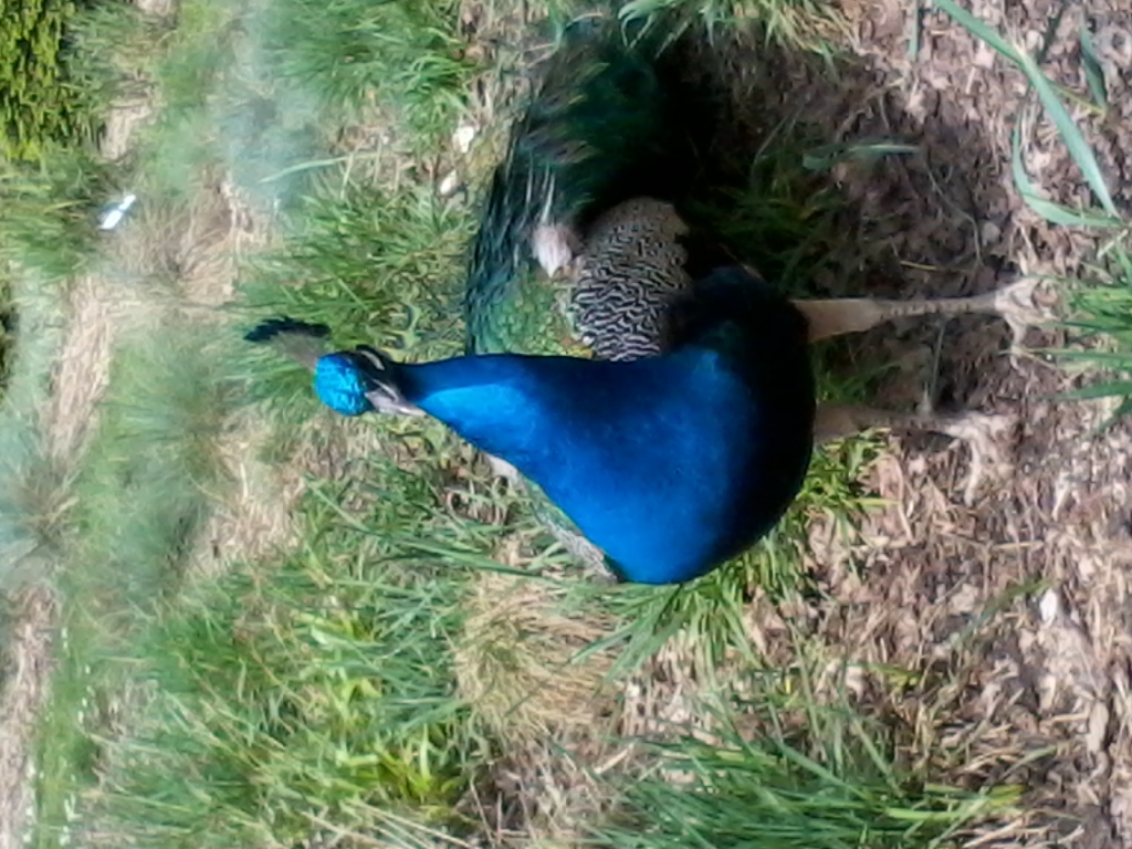 2012-04-30 13.09.09.jpg