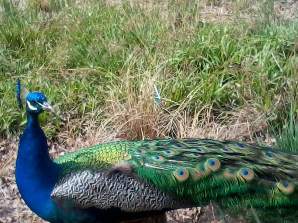 2012-04-30 13.09.20.jpg