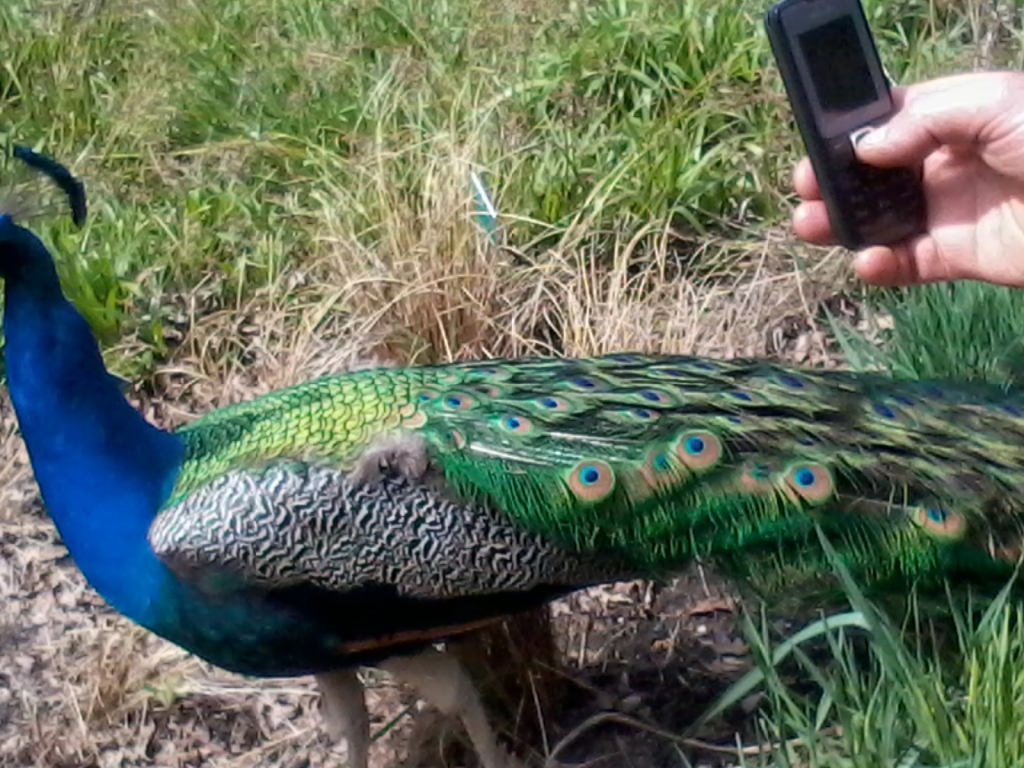 2012-04-30 13.09.27.jpg