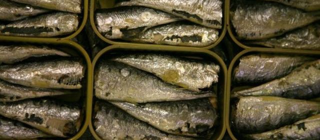 2067575_sardines-illustr-lp-auboiroux_640x280.jpg