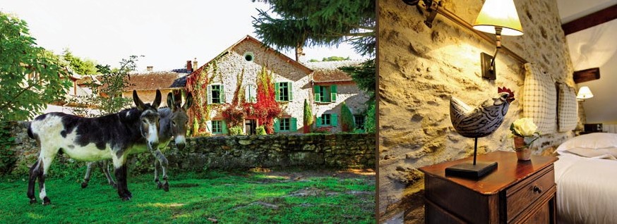 Abbaye Des Vaux De Cernay修道士之酒 Abbaye Des Vaux De Cernay修道士之酒