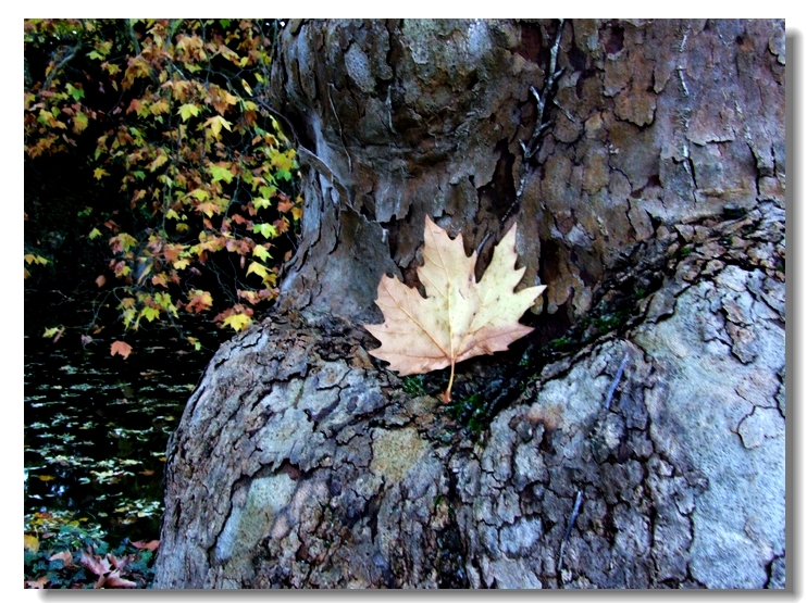 DSCF9892.jpg