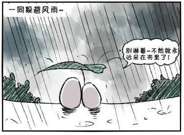 04.jpg