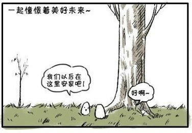 05.jpg