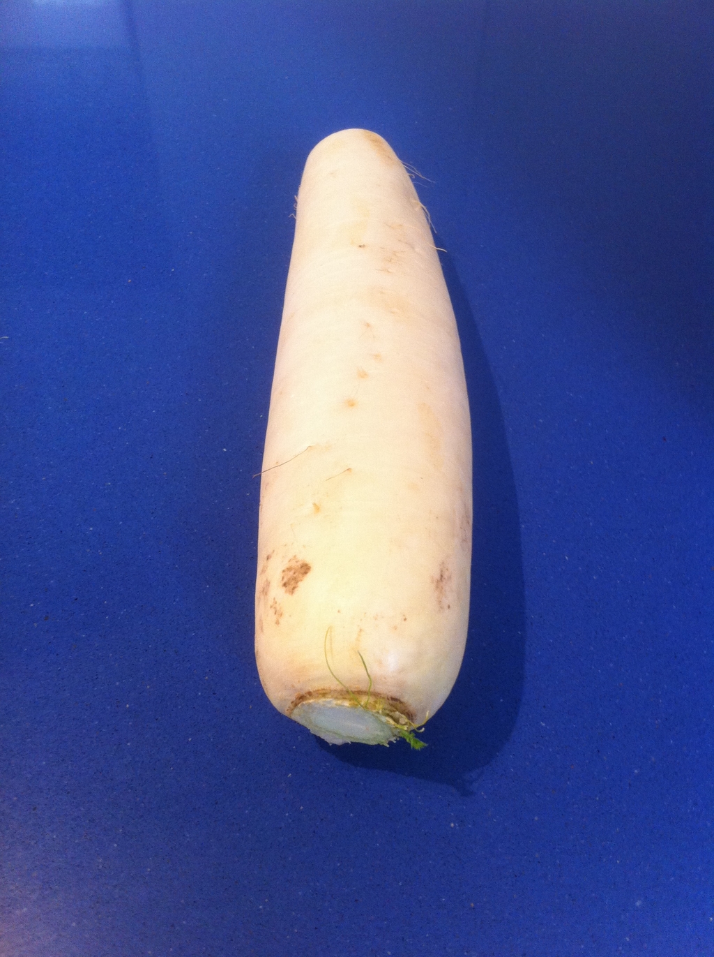 2013、6、23 001.JPG