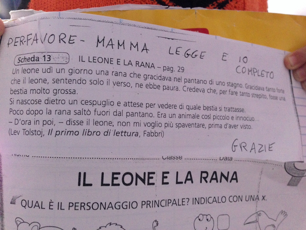 image.jpg