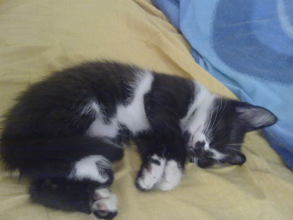 20120512149.jpg