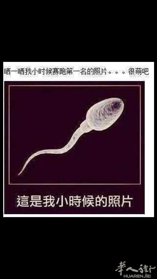 picture.jpg
