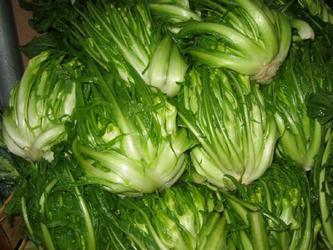 puntarelle.jpg