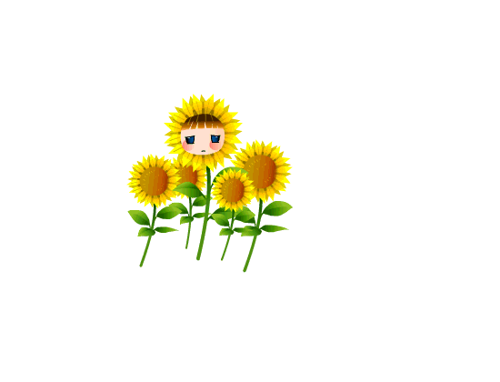 向日葵.gif