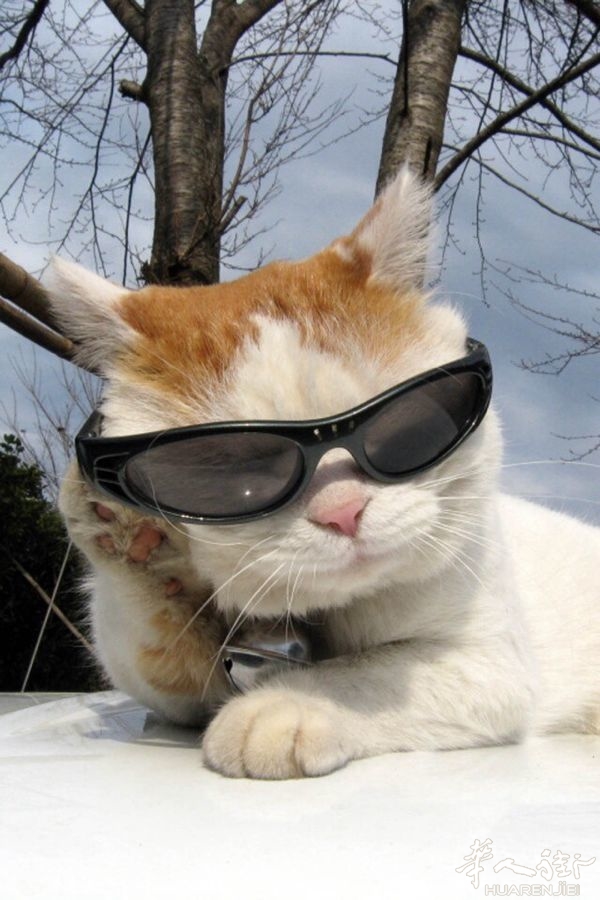 picture.jpg