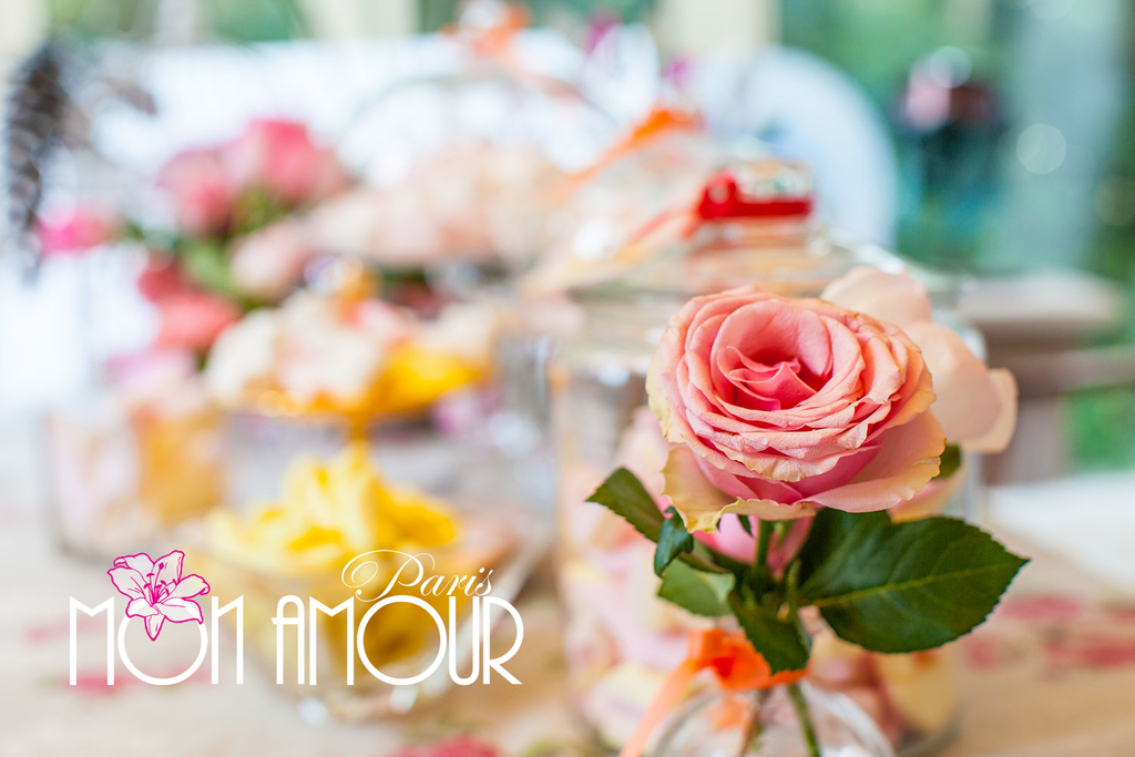 蒙娜莫尔海外婚纱摄影