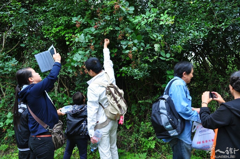 DSC_6739_副本.jpg