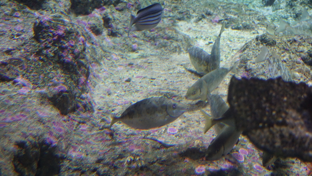 DSC00762.JPG