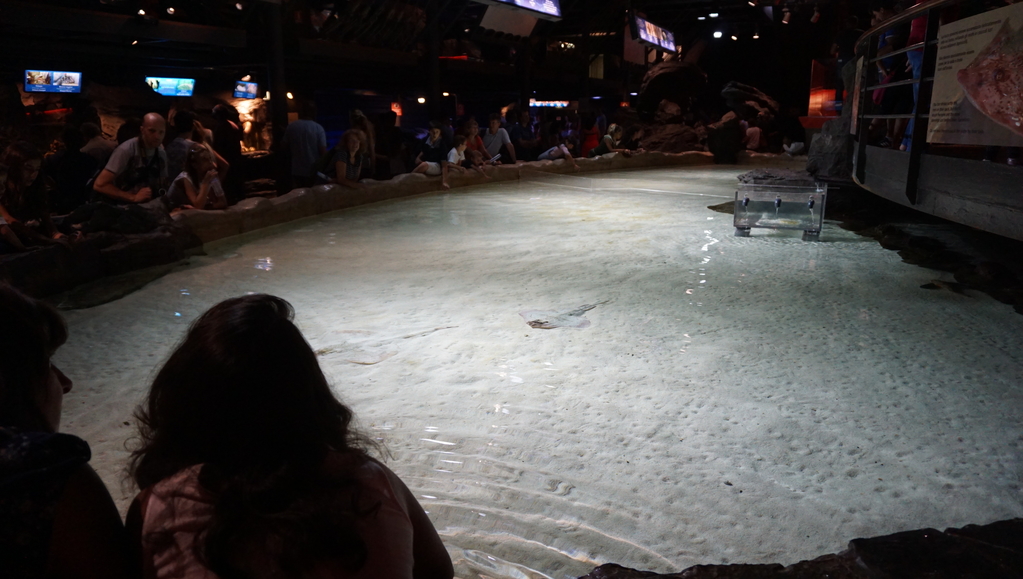 DSC00764.JPG