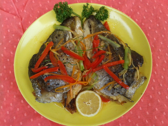 2014-11-13 12.59.22.jpg