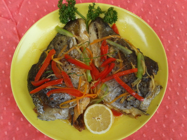 2014-11-13 12.58.57.jpg