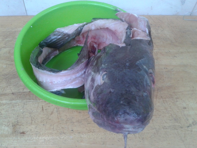 2014-11-21 15.06.12.jpg