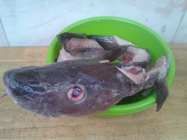 2014-11-21 15.06.25.jpg