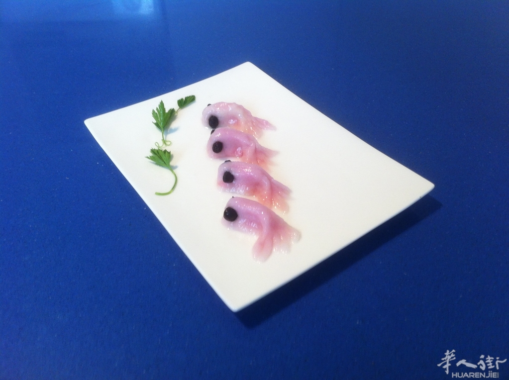 2014、4、14 582.JPG