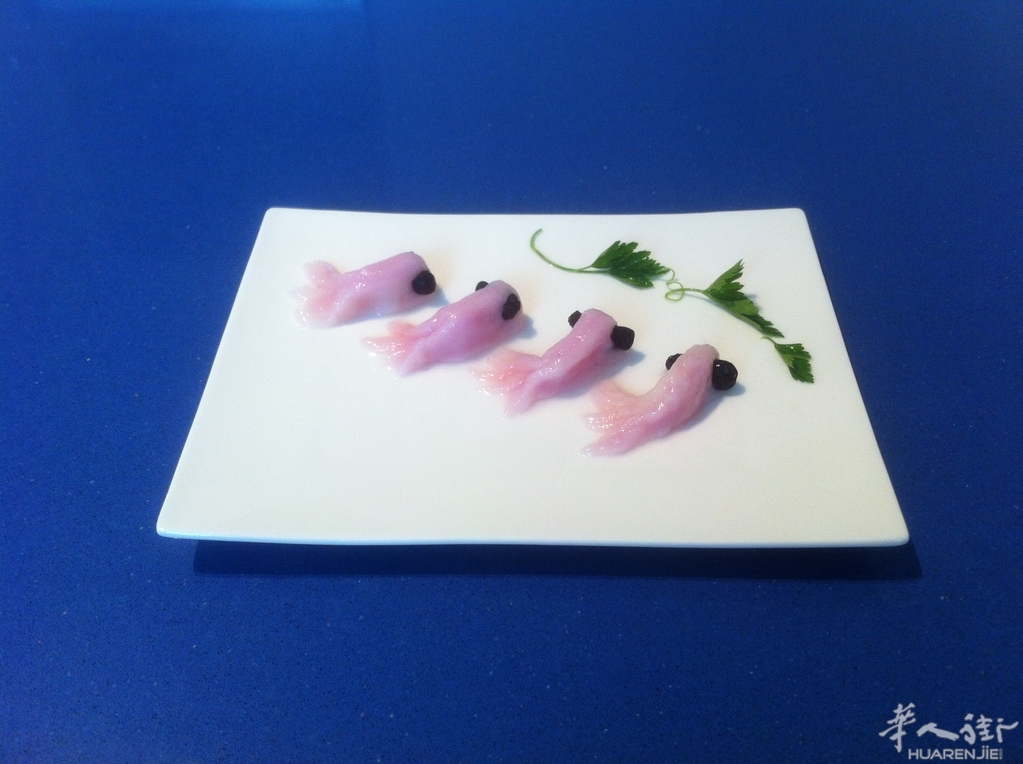 2014、4、14 584.JPG