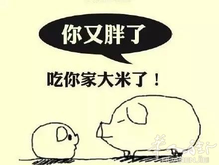 picture.jpg
