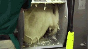 222.gif