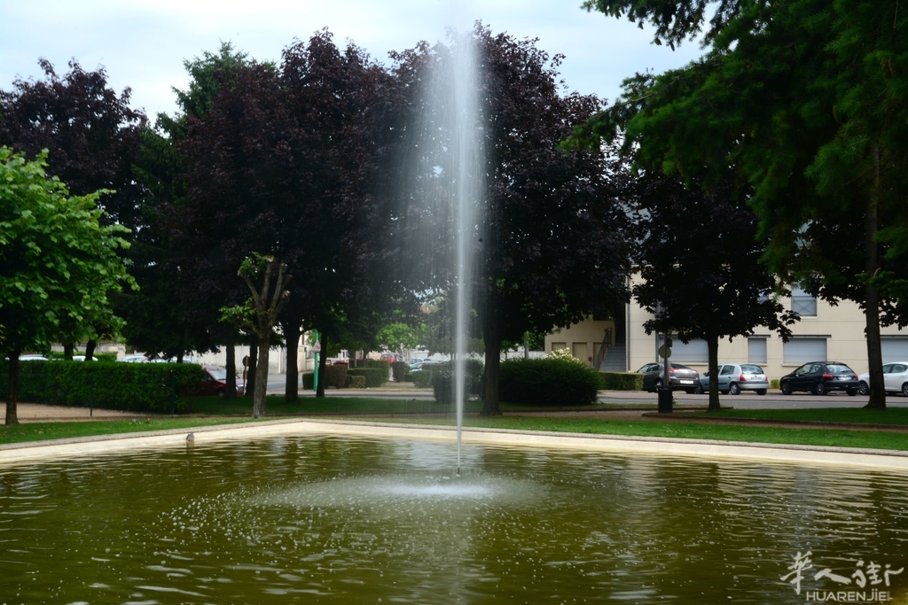 DSC_6762.JPG