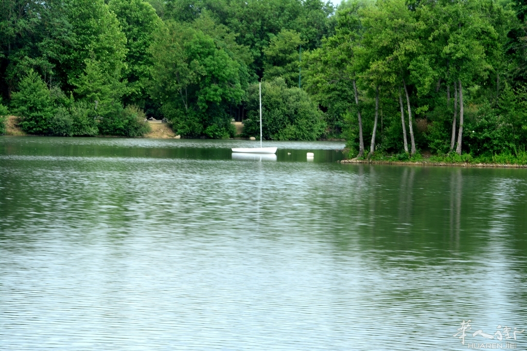 DSC_6772.JPG