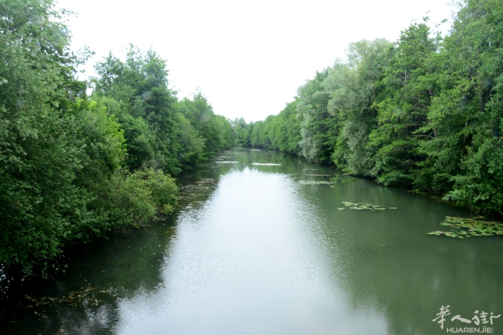 DSC_6775.JPG