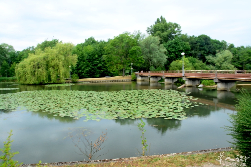 DSC_6779.JPG