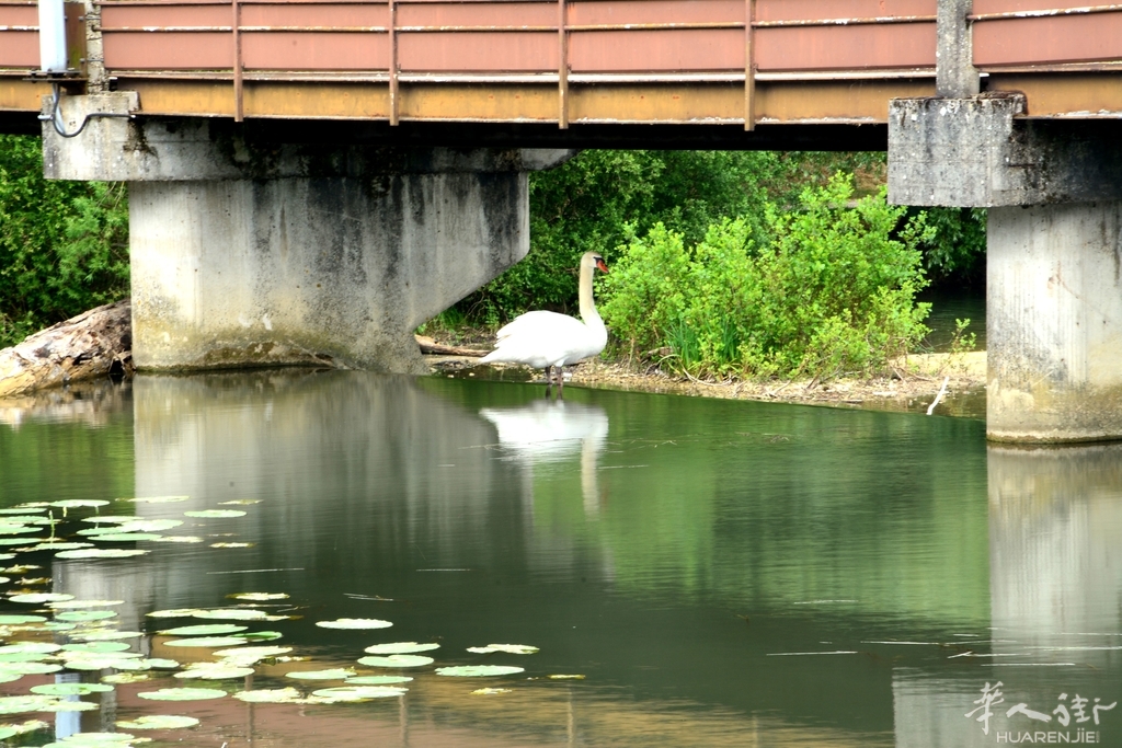 DSC_6781.JPG