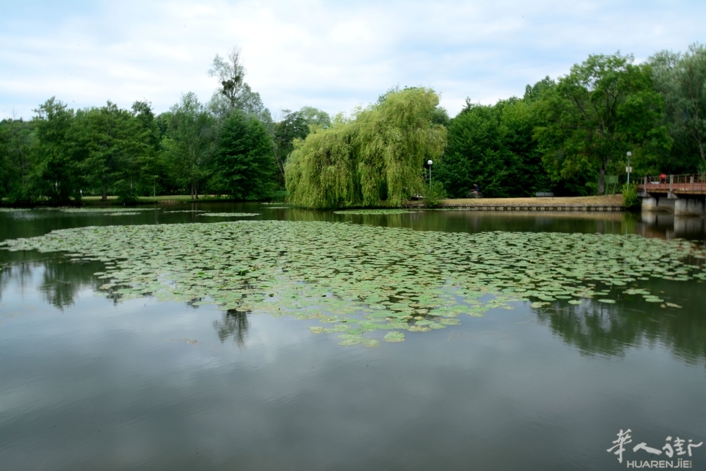 DSC_6782.JPG