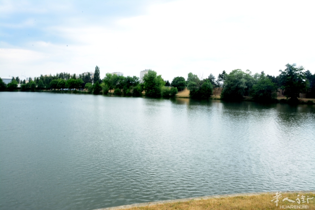 DSC_6785.JPG