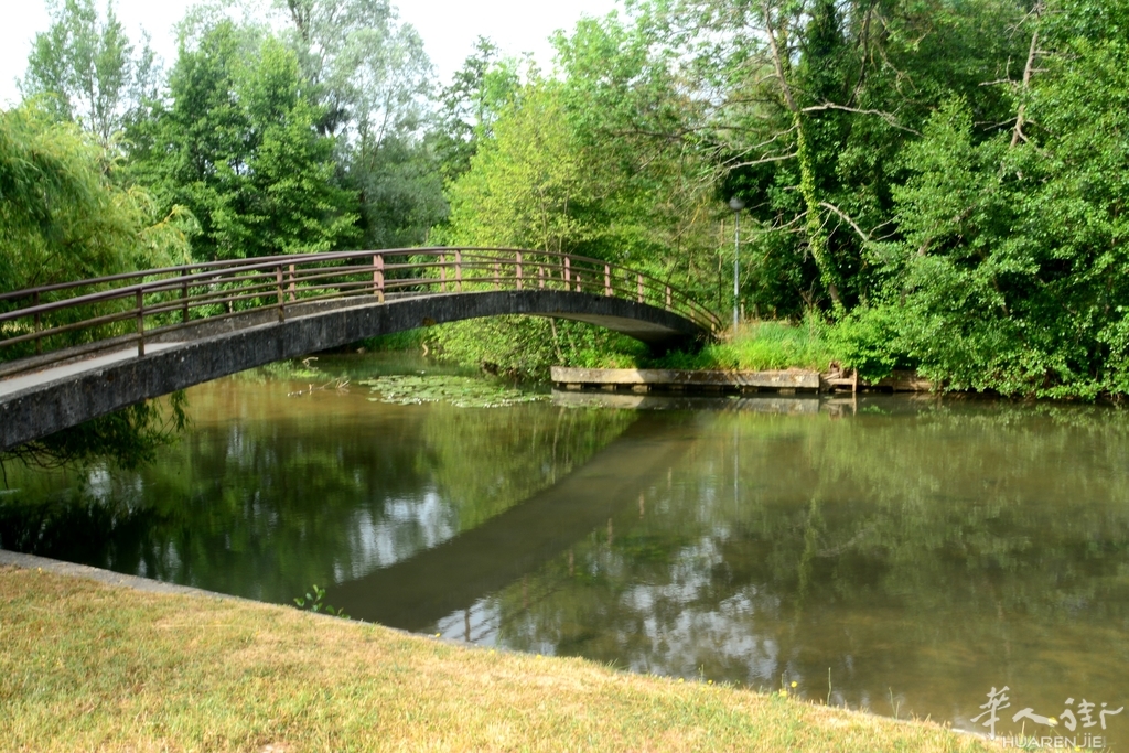 DSC_6806.JPG