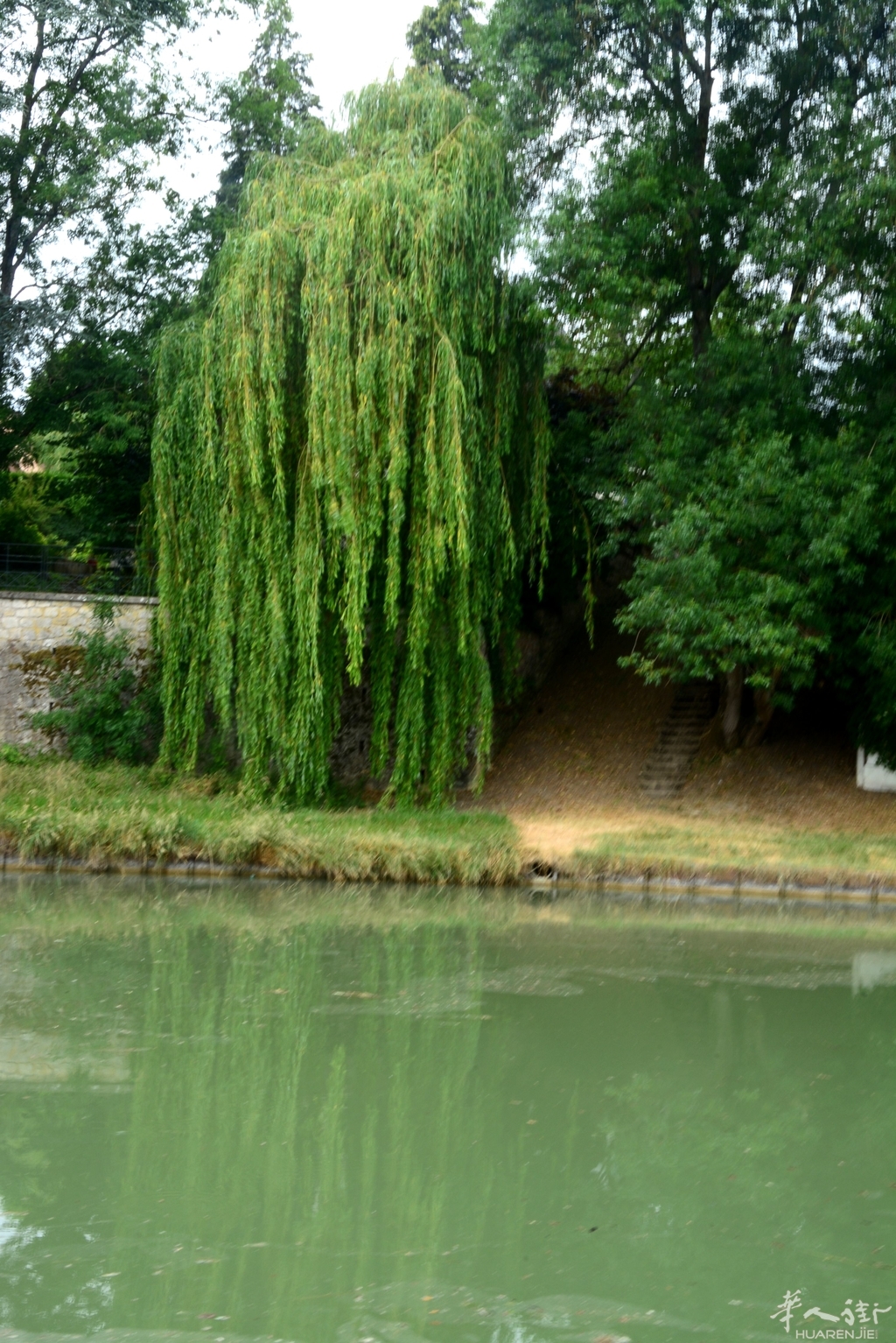 DSC_6818.JPG